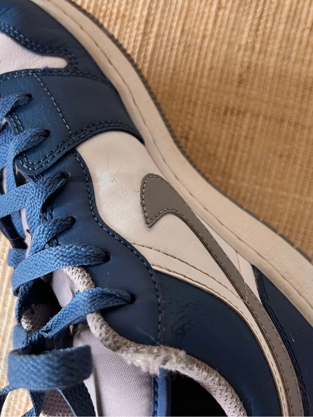 Low Top Sneakers in Navy/White